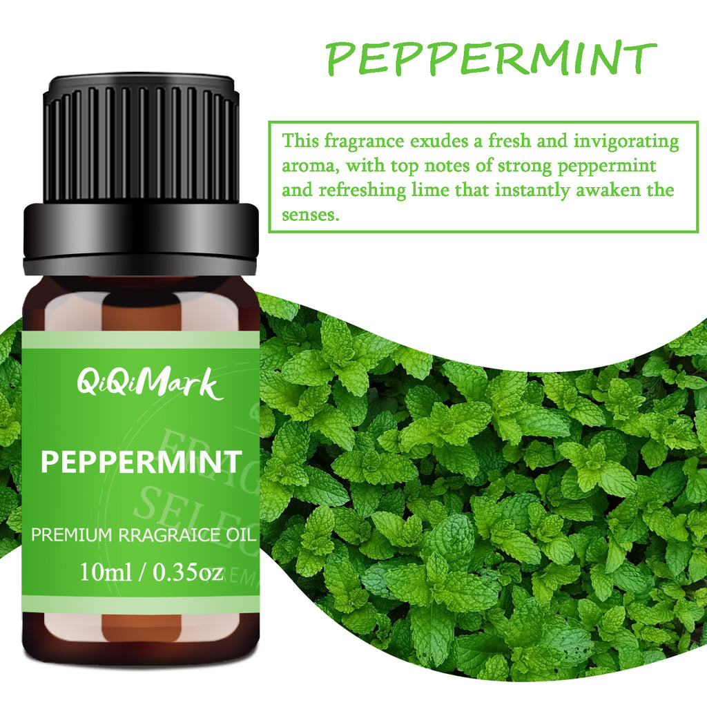 6pcs Christmas Fragrance Oils Set