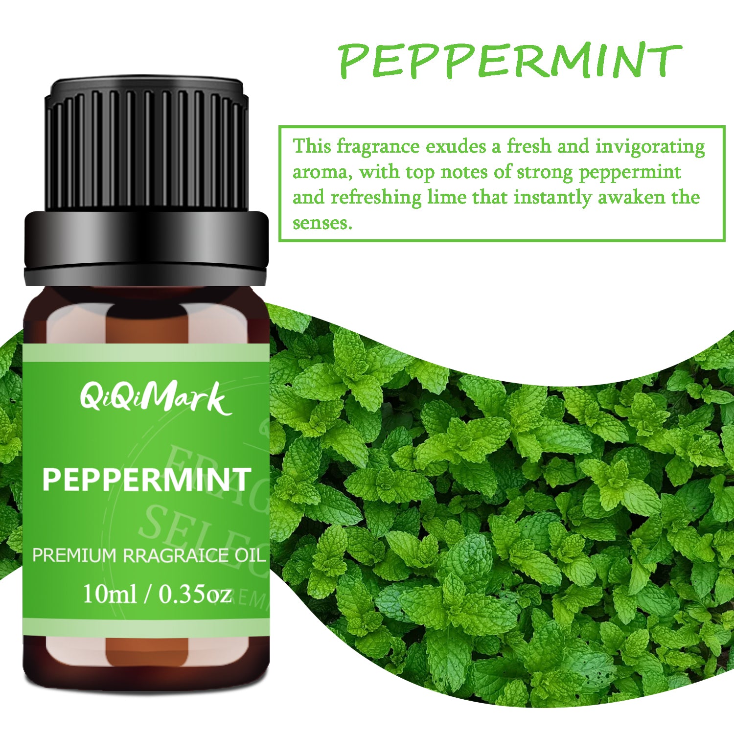 6pcs Christmas Fragrance Oils Set