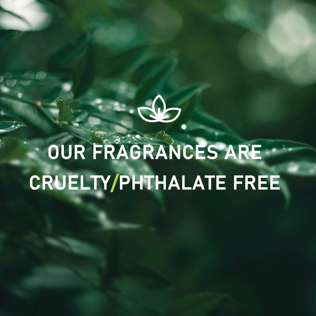 6pcs Christmas Fragrance Oils Set