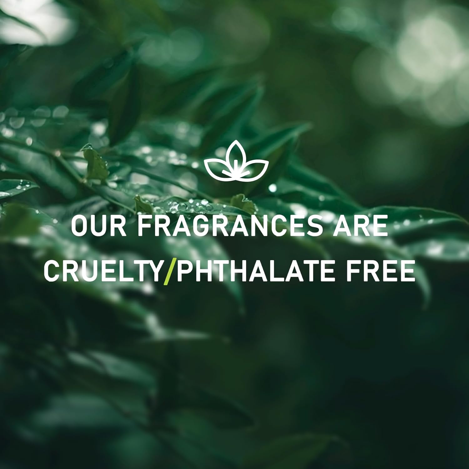 6pcs Essential Oils Set - Love HER 6x10ml